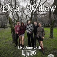 Dear Willow
