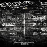 Bruised youth fest 2 day ticket