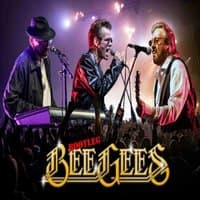 Bootleg BeeGees
