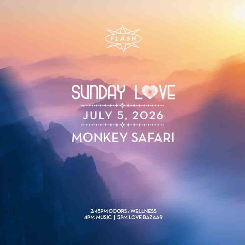 Sunday Love: Monkey Safari