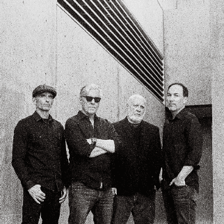 Toadies