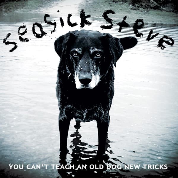 Seasick Steve