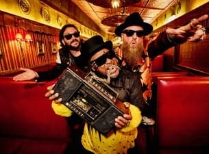 Skindred