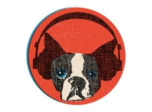 Snarky Puppy