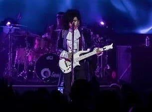 The Prince Experience