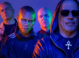 Skunk Anansie
