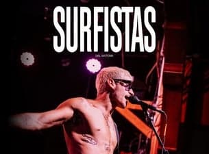 Surfistas del Sistema