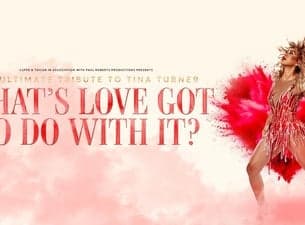 What's Love Got to do With it - Tina Turner Tribute