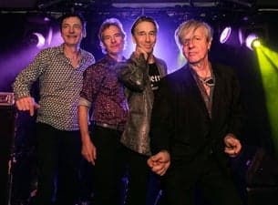 The Fleshtones