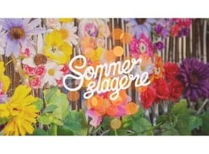 Sommerslagere