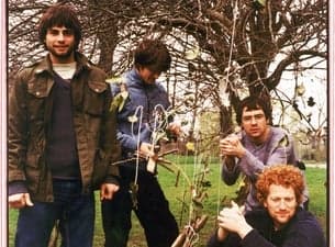 Beta Band