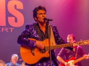 Elvis the Concert