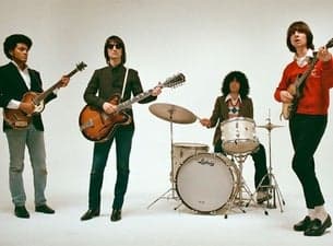 The Lemon Twigs