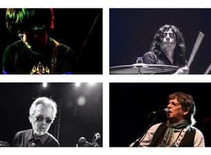 Flamin' Groovies