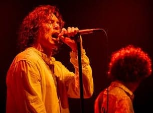 The Doors In Concert