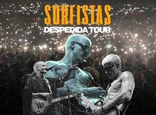 Surfistas del Sistema