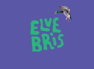 Elvebris