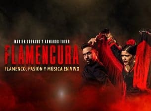 Flamencura "El Latido de la Tradición"