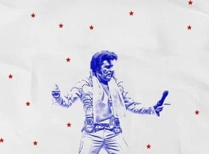 Elvis the Concert