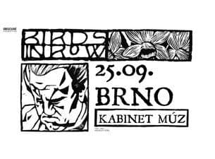 Birds In Row
