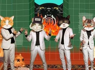Fantastic Cat