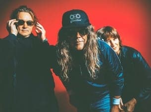 Spiderbait