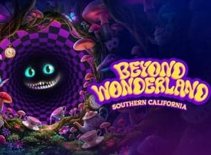 Beyond Wonderland