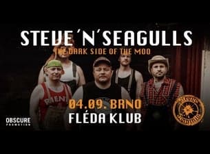 Steve 'n' Seagulls