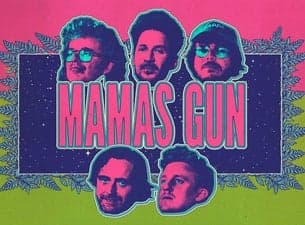 Mamas Gun