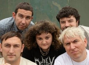 The Mary Wallopers