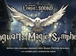 Hogwarts Magic Sumphony