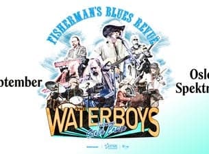 The Waterboys