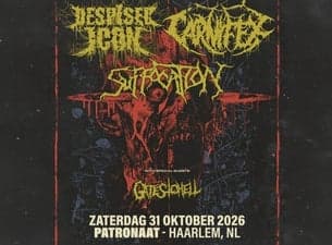 Despised Icon