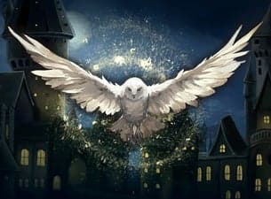 Lords of the Sound - Hogwarts Magic Symphony