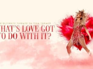 What's Love Got to do With it - Tina Turner Tribute