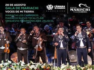 Galas De Mariachi