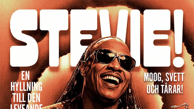 Stevie Wonder