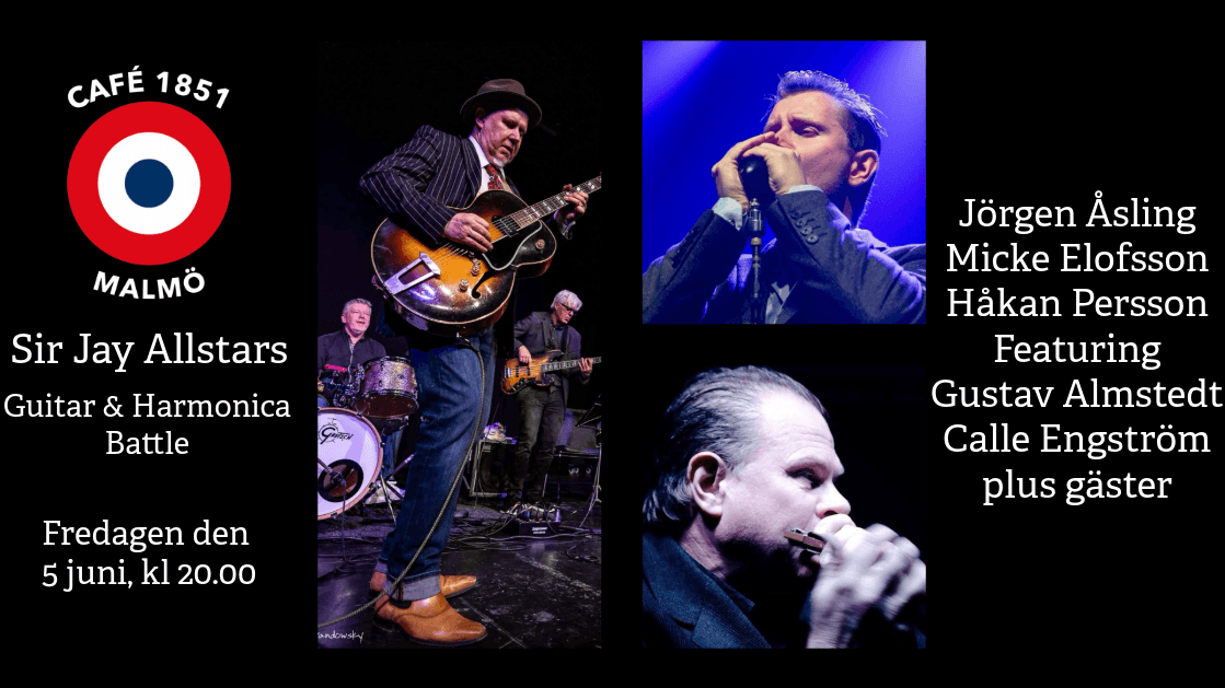 Sir Jay Allstars - Guitar & Harmonica Battle