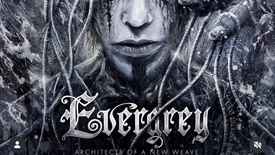 EVERGREY