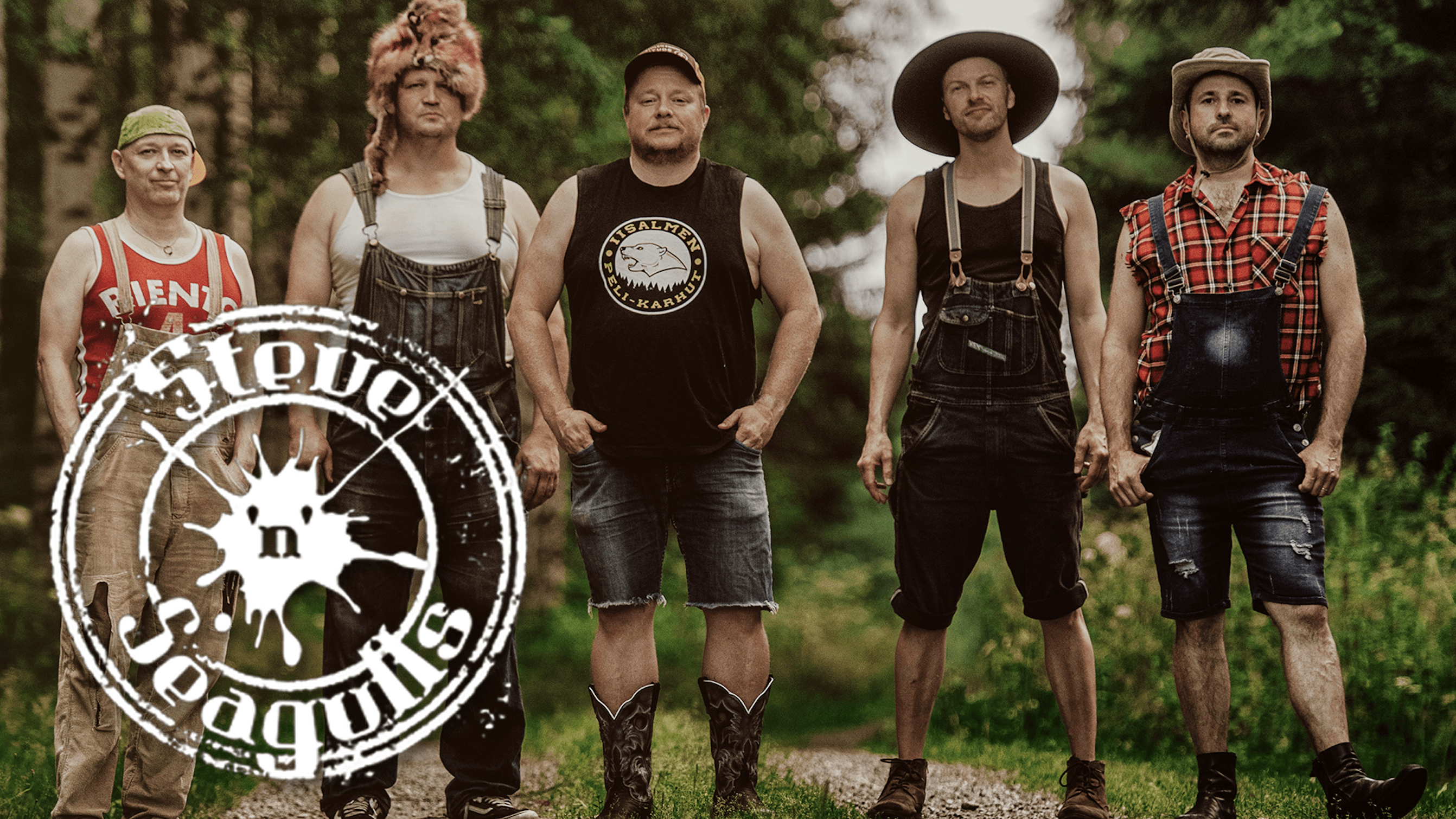 Steve 'n' Seagulls