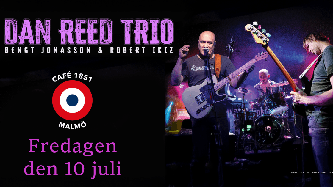 Dan Reed Trio