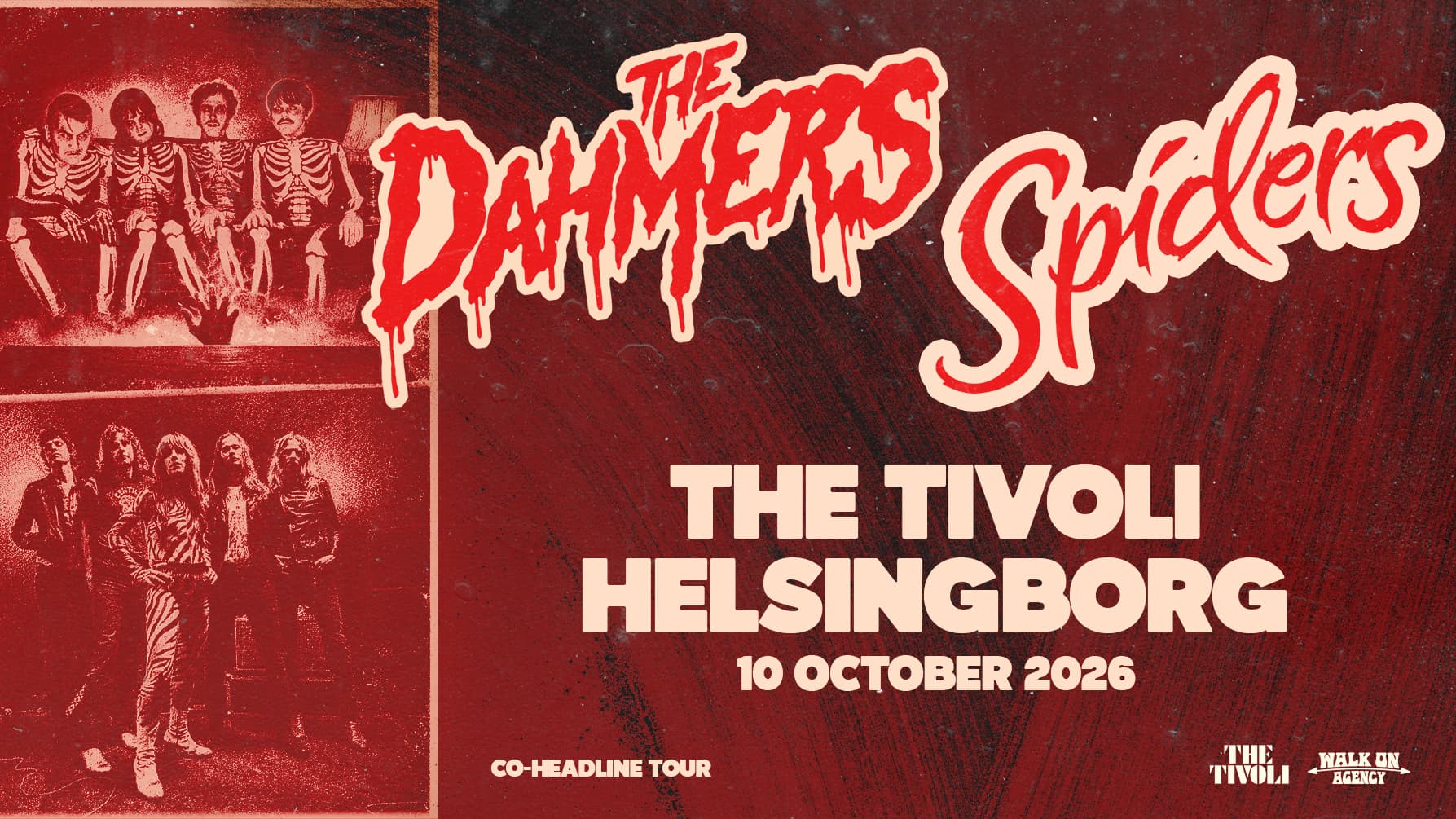 SPIDERS & THE DAHMERS