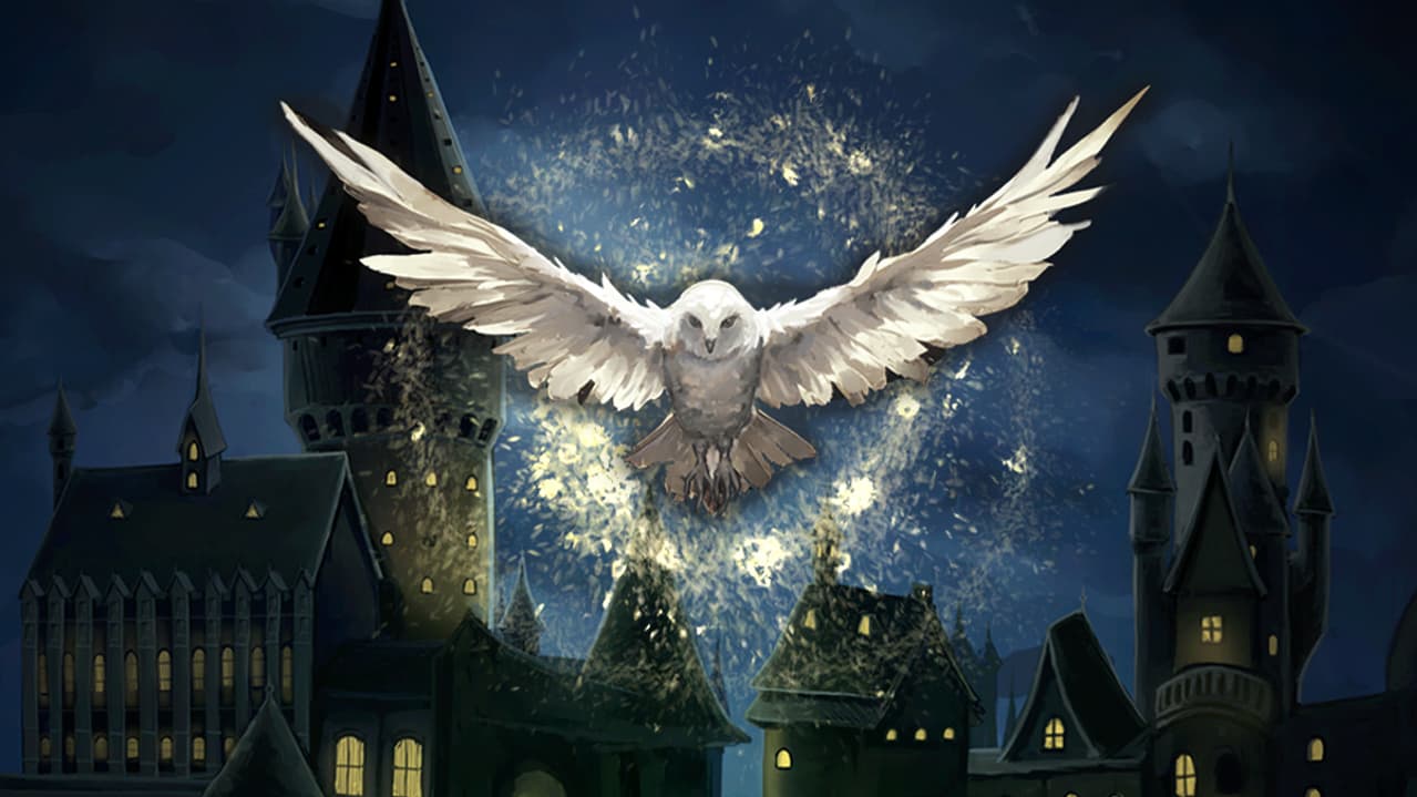 Hogwards Magic Symphony