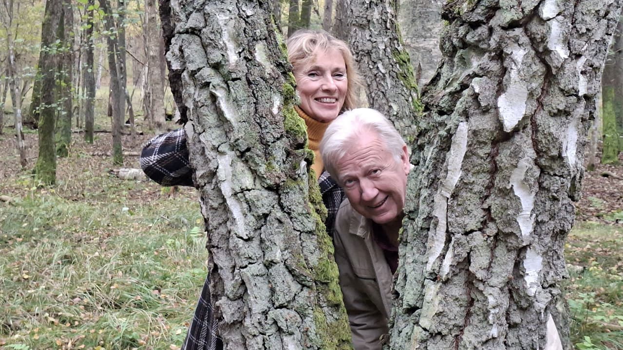 Sommarön- Ett program om Barbro Hörberg