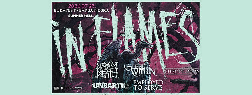 IN FLAMES
