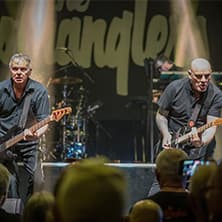 The Stranglers
