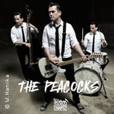The Peacocks - The Hoodoo Sinners