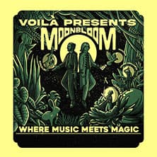 VOILÀ - The Summer Of Sorcery