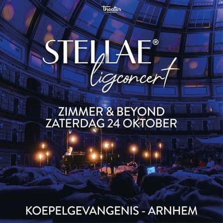 Zimmer & Beyond