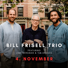 Bill Frisell Trio